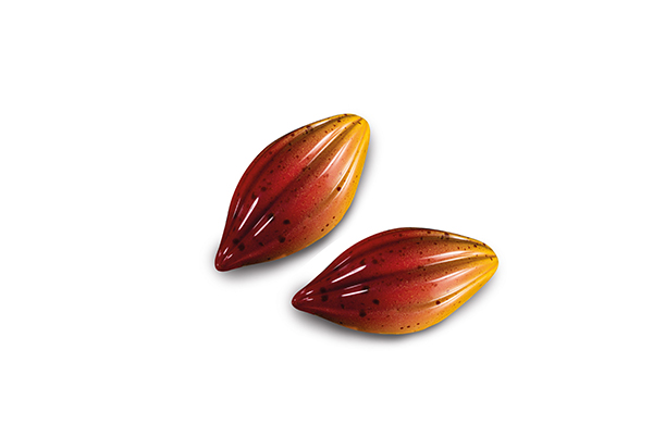 MOLDE POLICARBONATO PARA CHOCOLATE CACAO MARTELLATO - Imagen 2
