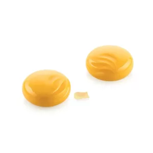 MOLDE DE SILICON OCEAN 100 SILIKOMART